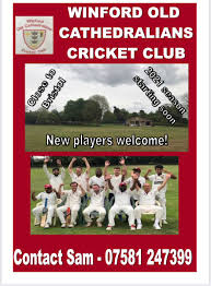 Image result for Winford Cricket Club