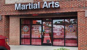 Image result for Budo Warrior Schools