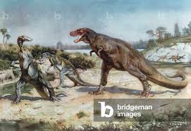 Image result for Imagini tehron