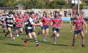 Image result for Sutton & Epsom Rugby Football Club