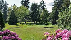 Image result for Wessex Fives Club