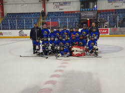 Image result for Haringey Greyhounds Ice Hockey Club