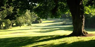 Image result for Stowmarket Meadlands Recreation Club