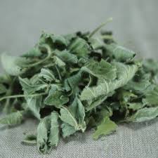 Image result for Frauenmantel