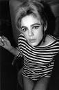 Edie Sedgwick, la más bella,