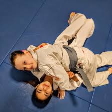 Image result for Okami Karate & Fitness Schools