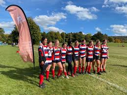 Image result for Watford Rugby Football Club