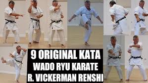 Image result for Karate Wado Kai