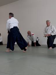 Image result for Aikido - Takama Hara Aikido Dojo