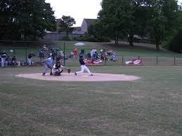 Image result for Herts Falcons