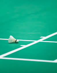 Image result for Bracknell Drivers Badminton Club