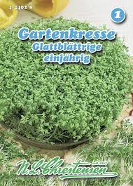 Image result for Gartenkresse