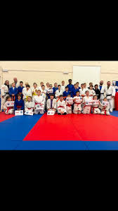 Image result for Swansea Taekwondo Club