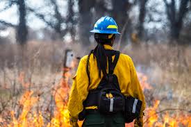 Image result for Smmac, Cannock