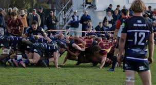 Image result for Canterbury Rugby Football Club