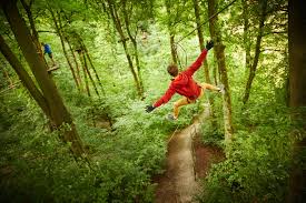 Image result for Go Ape! Grizedale