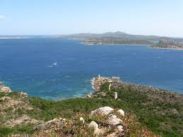 Image result for capo d'orso
