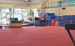 Image result for Deerness Valley Hpc Gymnastics Club