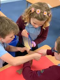 Image result for Knayton F C