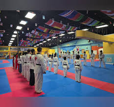 Image result for South Bank Taekwondo