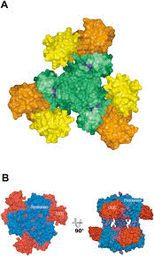 Image result for HTRPC