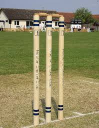 Image result for Worlingworth Cricket Club