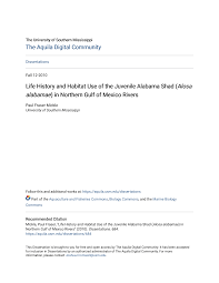 Image result for Alosa alabamae