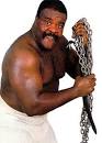 Image of mike20 (The Junkyard Dog) - Screened