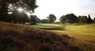 Image result for Notts Golf Club Ltd