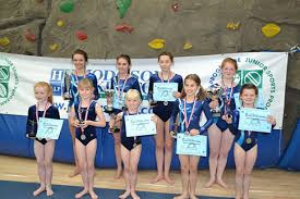 Image result for Lincoln Gymnastics Club