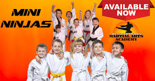 Image result for Kidderminster Martial Arts Academy