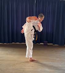 Image result for HEIWA SHOTOKAN KARATE CLUB