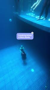 Image result for Blue Water Freediving School