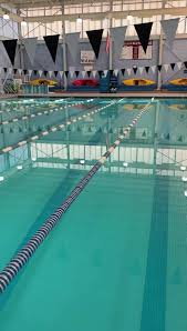 Image result for Ludlow Swimming Club
