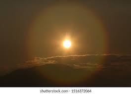 Attēlu rezultāti vaicājumam “pollen corona”