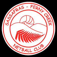 Image result for Sas Netball Club