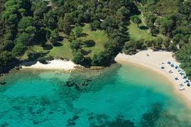 Image result for capo d'orso