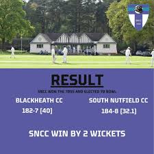 Image result for South Nutfield Cricket Club