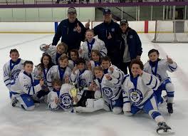 Image result for West Coast Wasps Skater Hockey Club