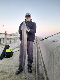 Image result for Dulverton Angling Association