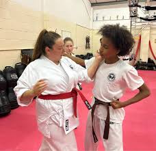 Image result for Colchester Wado Ryu Karate