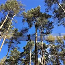 Image result for Go Ape! Moors Valley