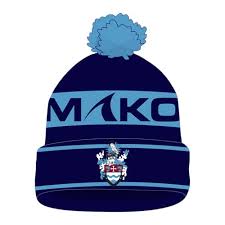 Image result for Bude Rfc