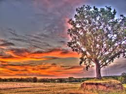 Image result for bad hdr