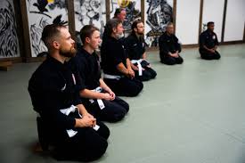 Image result for Bujinkan Ninpo Dojo