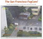 SFSU « Outie Sun