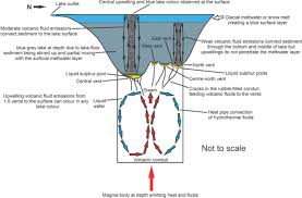 Image result for Wellington Whirlwinds Tc