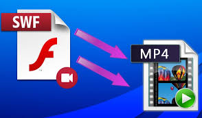 Image result for SWF