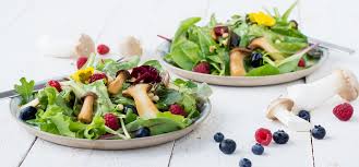 Image result for Pflücksalat