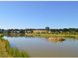 Image result for Warlingham & District Anglers` Society